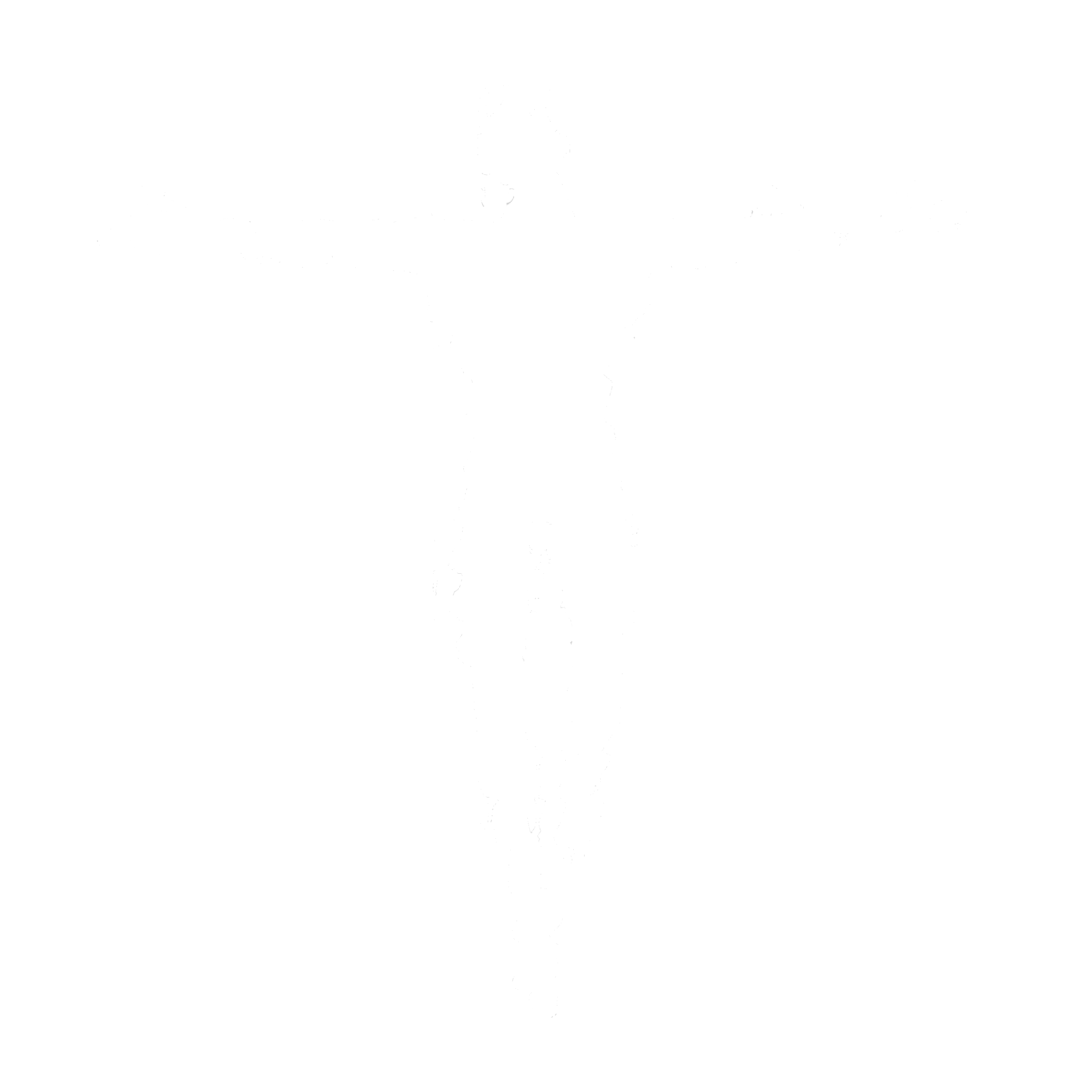 Ty