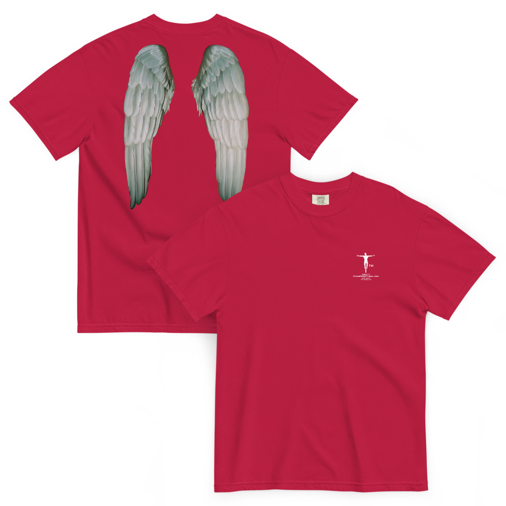 Ty's Unisex garment-dyed heavyweight t-shirt